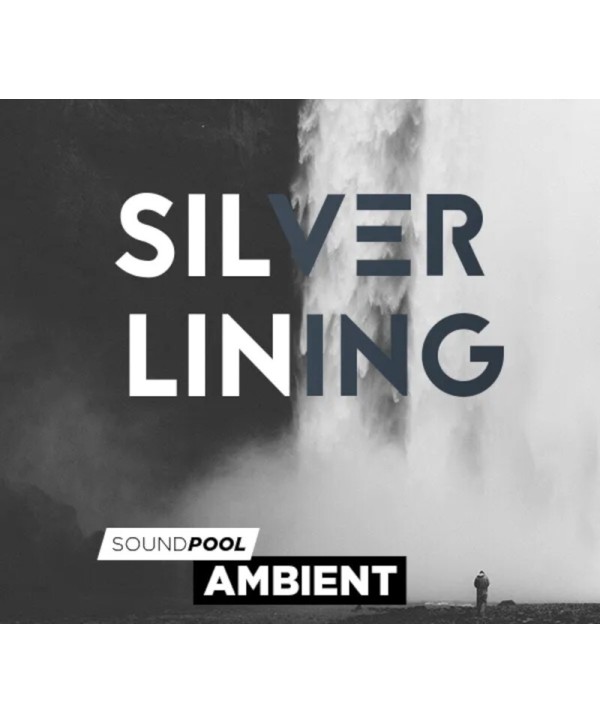 MAGIX Silver Lining ProducerPlanet Key GLOBAL